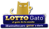Lotto Gato