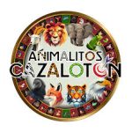cazaloton