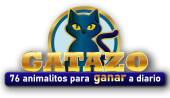 gatazo
